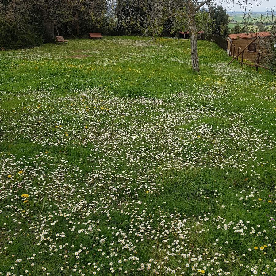 La Mariola Apartments Santa Luce Εξωτερικό φωτογραφία