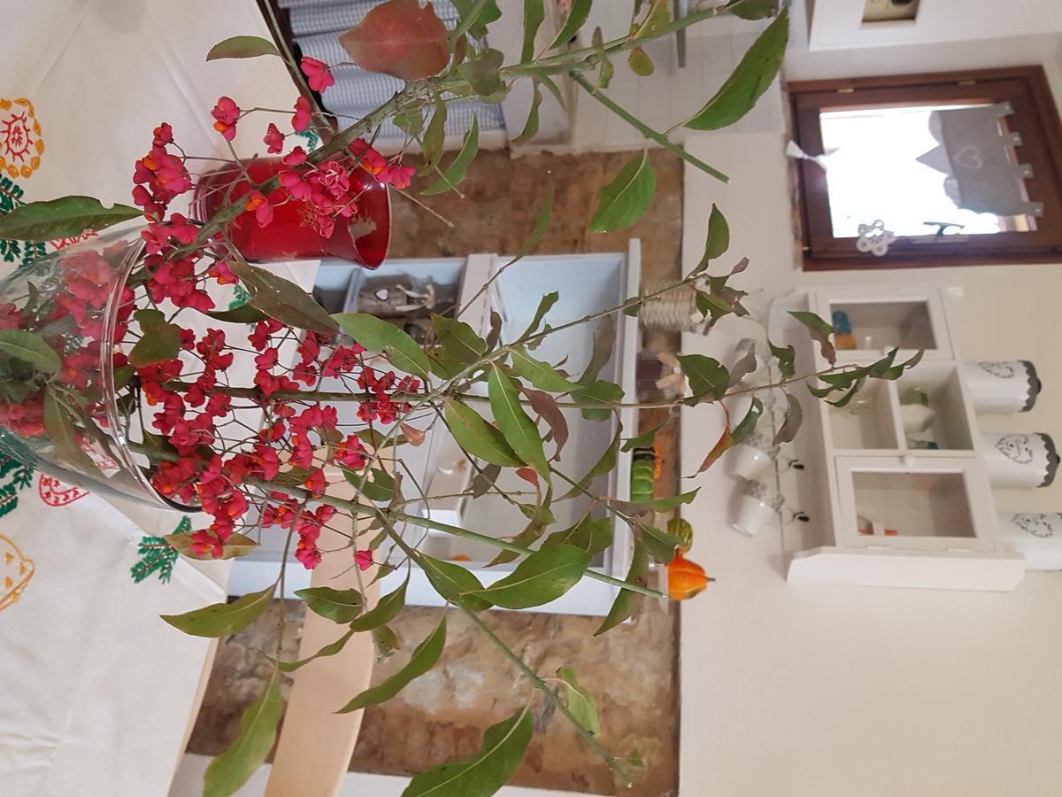 La Mariola Apartments Santa Luce Εξωτερικό φωτογραφία